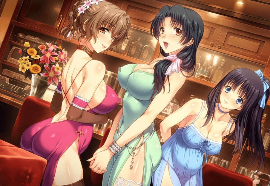 妻中蜜1-3 全系列完整汉化PC版,有全CG档