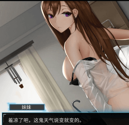 我的镜头H人生!新作官中文PC版,有全CG档