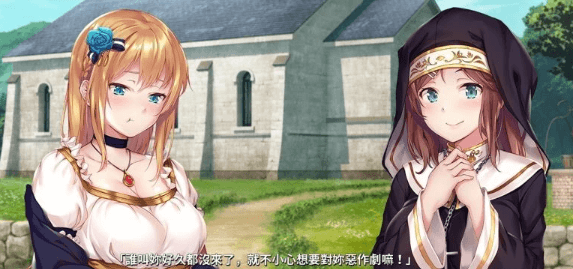 莎爾蒂 绝望与崩溃的鬼畜无尽轮回!顶级新作官中文PC版
