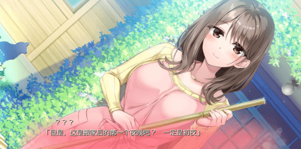 Re CATION Melty Healing PC和安卓模拟新汉化版,全CV