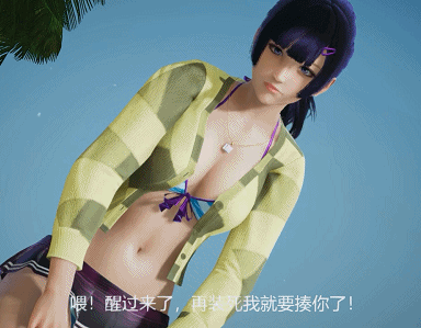 禁忌之岛 丧尸起源 V2.50 PC加安卓中文重置版,有详细攻略,是佳作