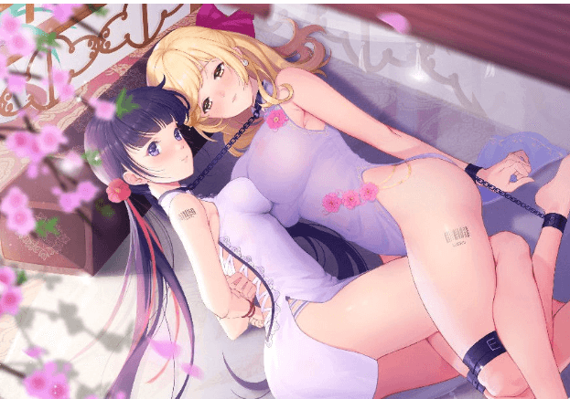 SeekGirl-Ⅶ 中文PC版 ,是现在最有趣的推箱子
