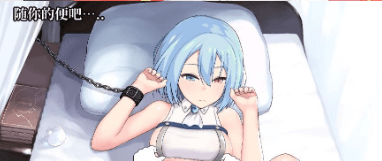 帝国后宫 Ver1.20 DL官方中文PC版,有全回想