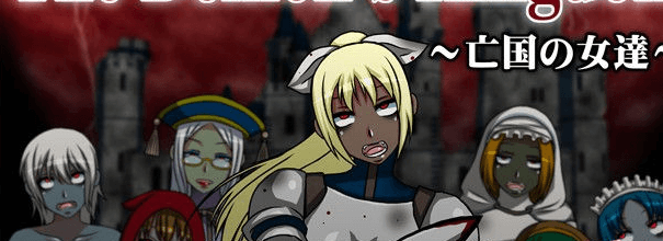 恶魔国度 亡国之女 Ver1.1 精翻汉化PC版,有全CG档