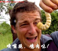 异种注意 捕获未知生物!新四章+2外传精翻汉化安卓版