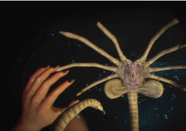 异种注意 捕获未知生物!新四章+2外传精翻汉化PC版