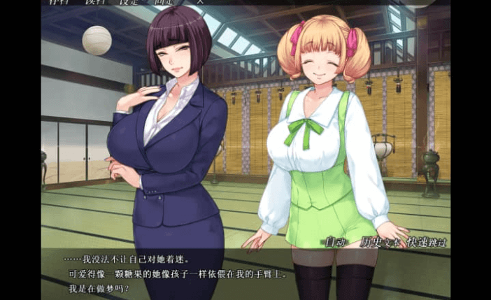 妃神会秘史 中文版,有全CG存档