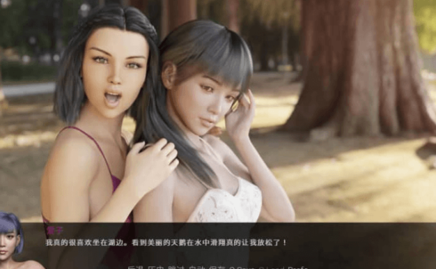 不雅的欲望 v.024 PC加安卓汉化版